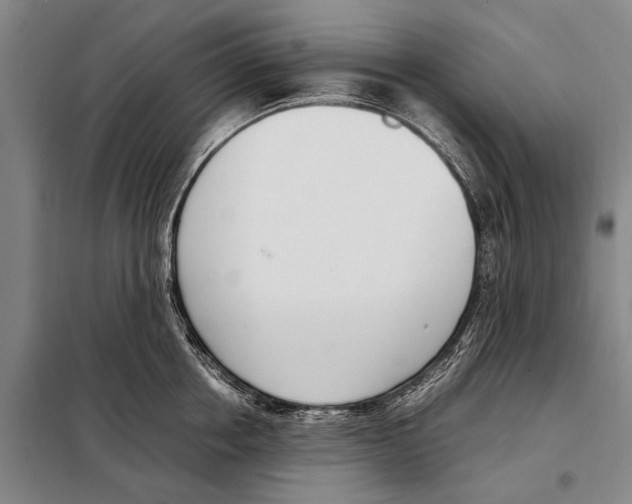 X0000097980858200804211036