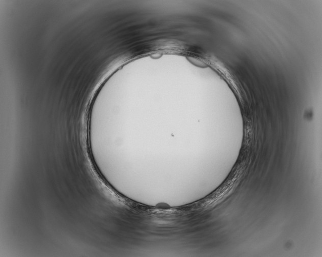 X0000097980859200804211036