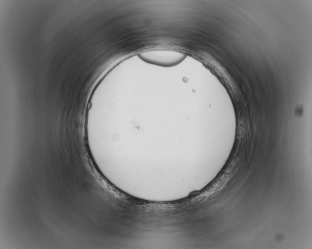 X0000097980860200804211036