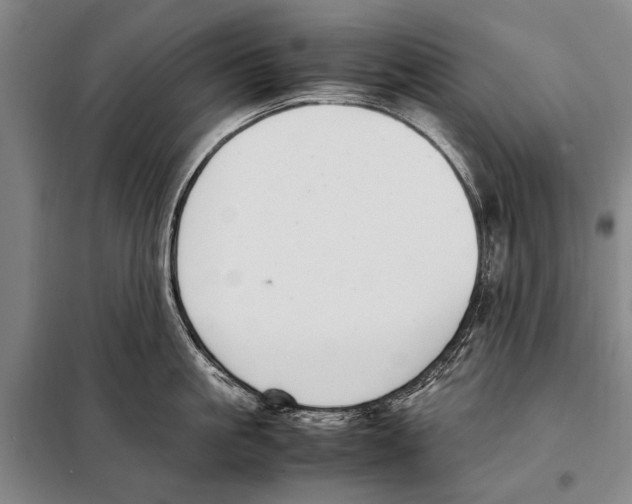 X0000097980861200804211036