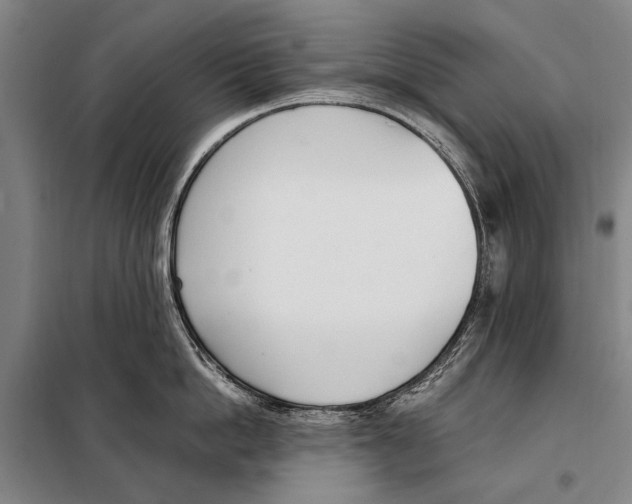 X0000097980862200804211036