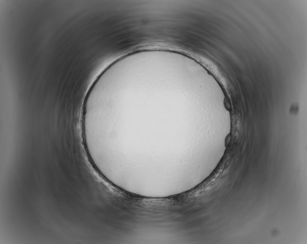 X0000097980863200804211036