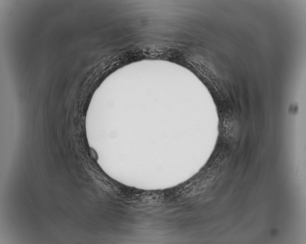 X0000097980865200804211035