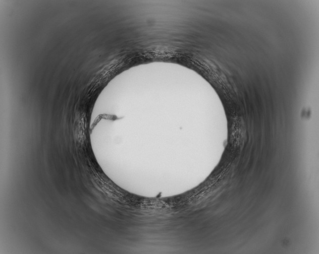 X0000097980866200804211035