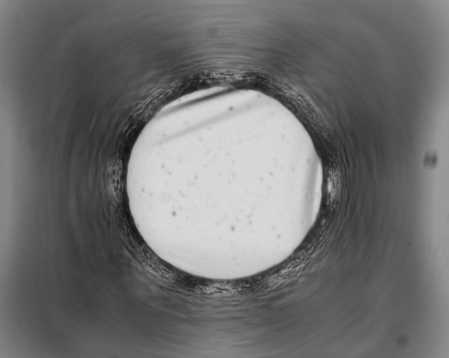 X0000097980867200804211035