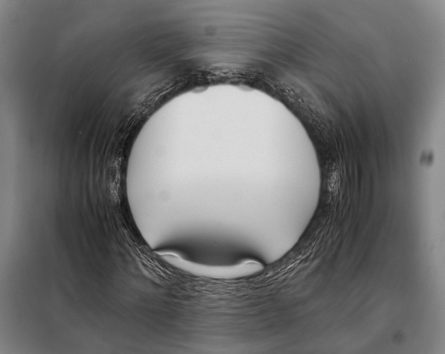 X0000097980868200804211035