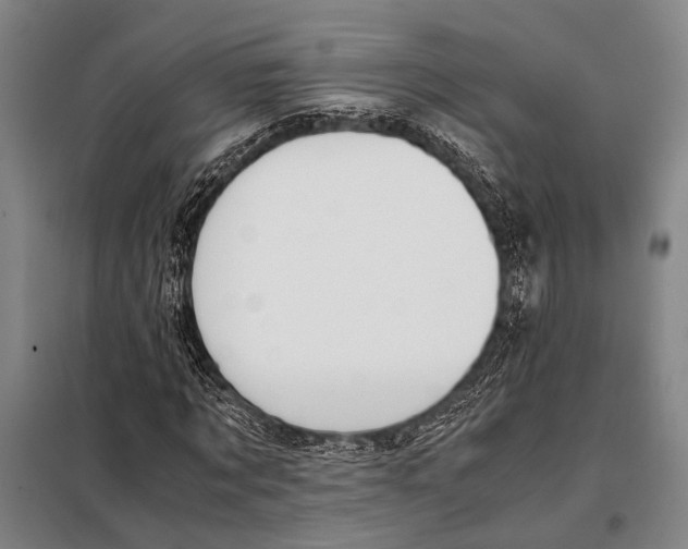 X0000097980869200804211035