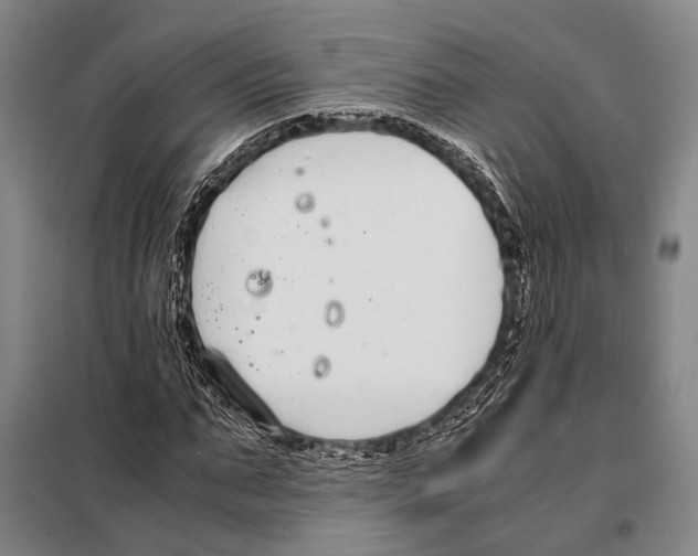 X0000097980871200804211035