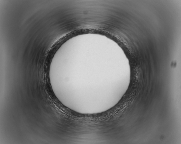 X0000097980872200804211035