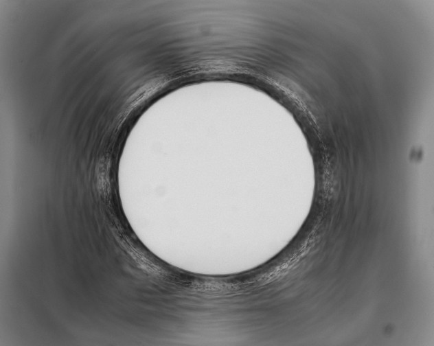 X0000097980873200804211035