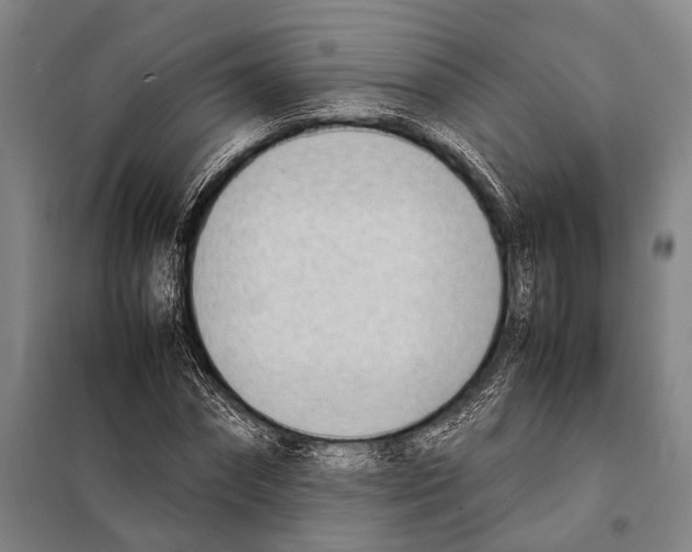 X0000097980874200804211035