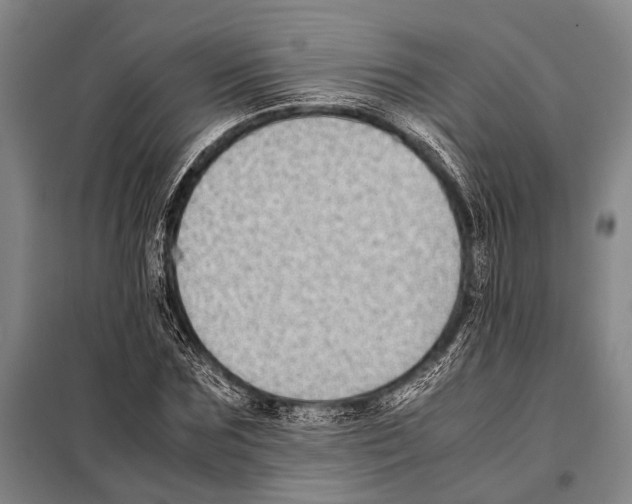 X0000097980875200804211035