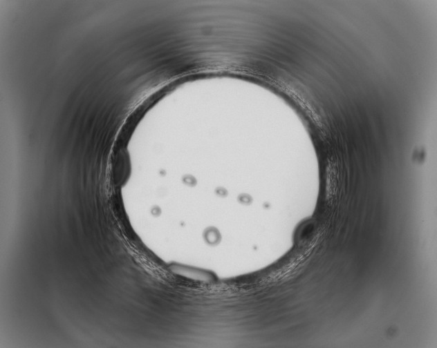 X0000097980876200804211035