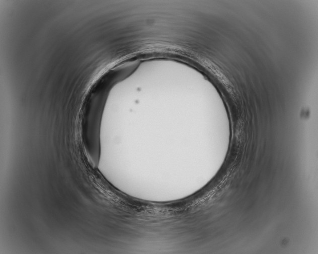 X0000097980877200804211035