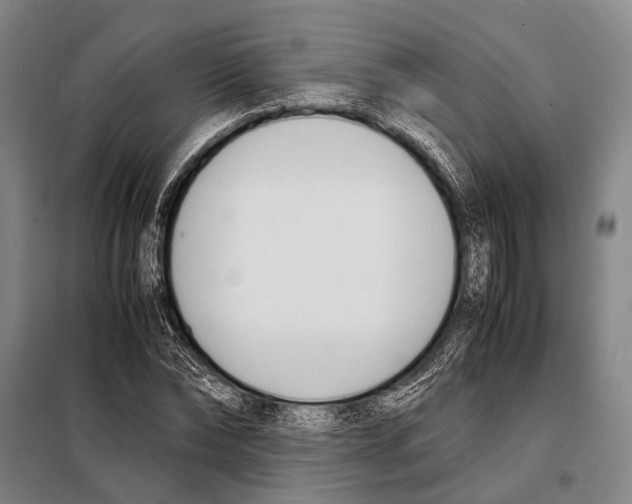 X0000097980878200804211035