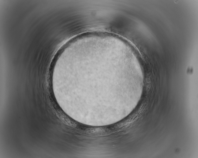 X0000097980879200804211035