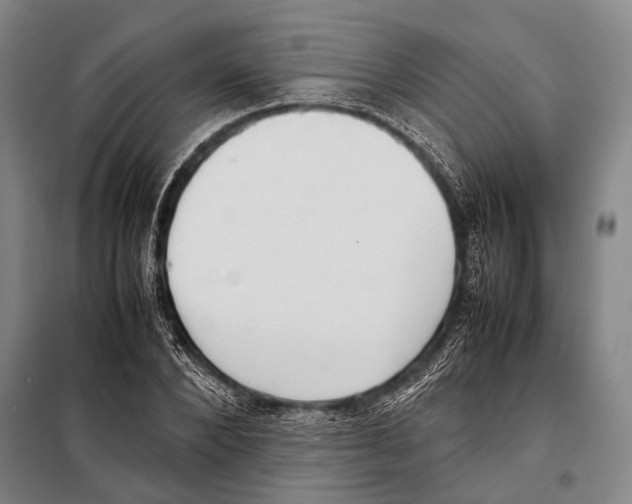 X0000097980880200804211035