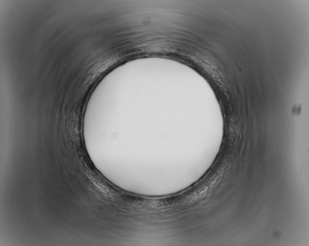 X0000097980881200804211035