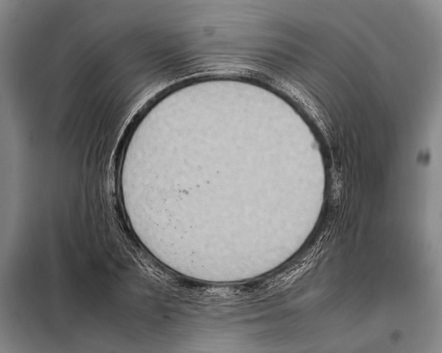 X0000097980883200804211035