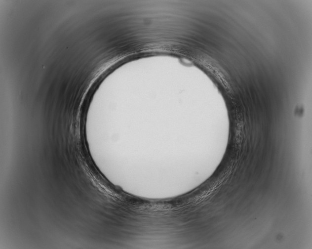 X0000097980884200804211035