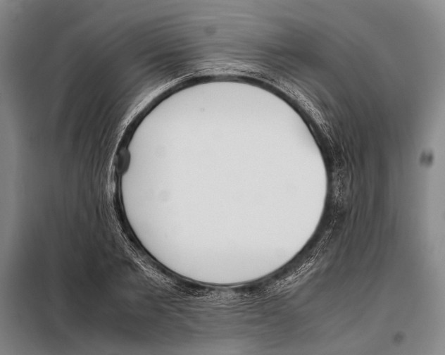 X0000097980885200804211035