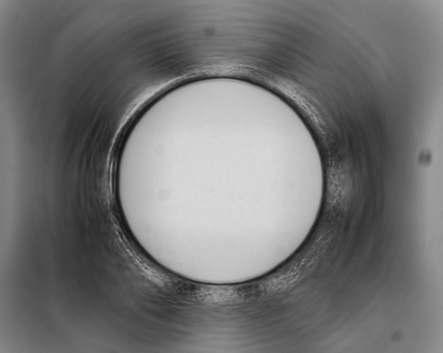 X0000097980886200804211035