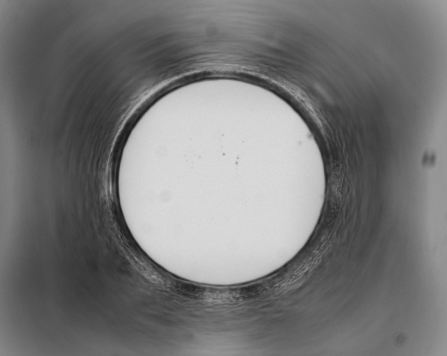 X0000097980887200804211035