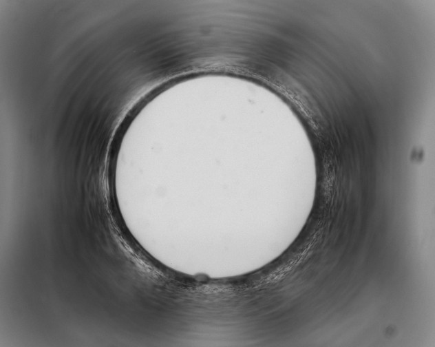 X0000097980888200804211035