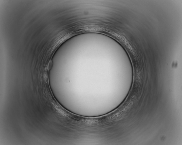 X0000097980889200804211035