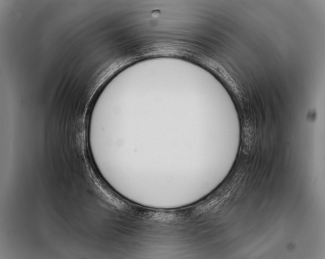 X0000097980890200804211035