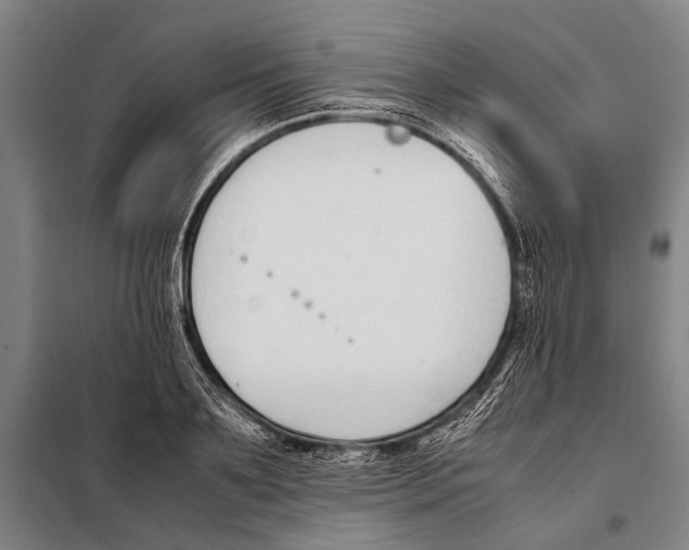 X0000097980891200804211035