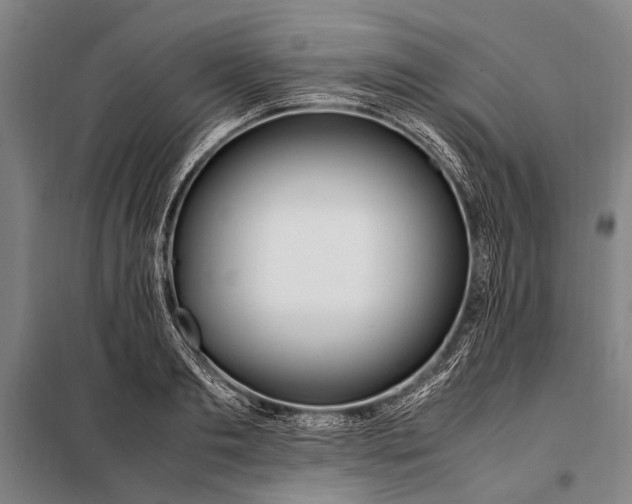 X0000097980893200804211035