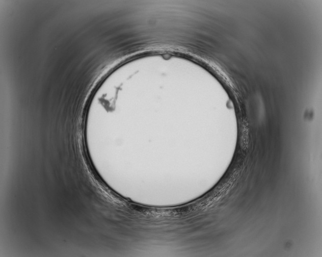 X0000097980895200804211035