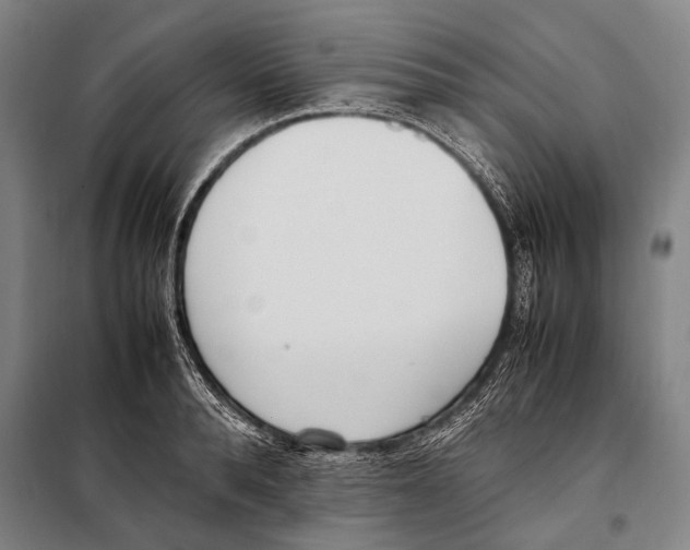 X0000097980896200804211035