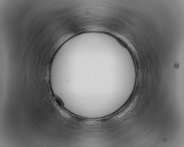 X0000097980897200804211035