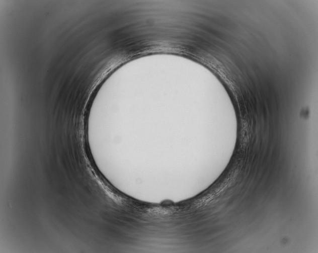 X0000097980898200804211035