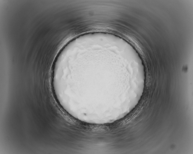 X0000097980899200804211035