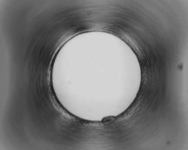 X0000097980900200804211035