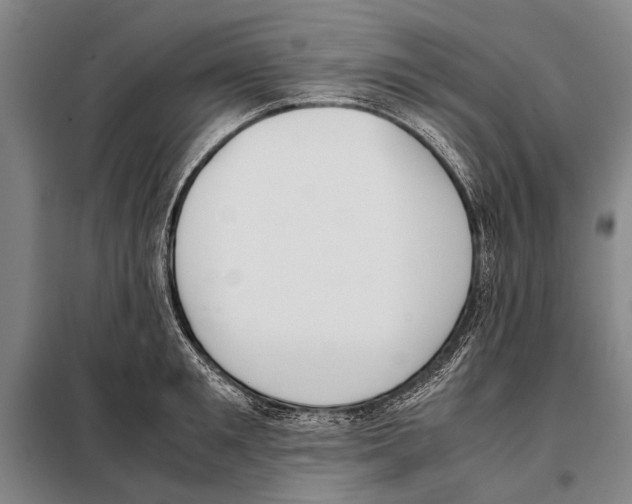 X0000097980901200804211035