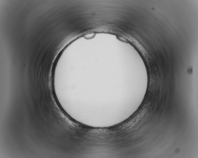 X0000097980902200804211035