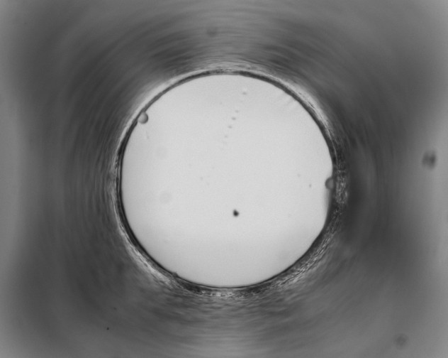 X0000097980903200804211035