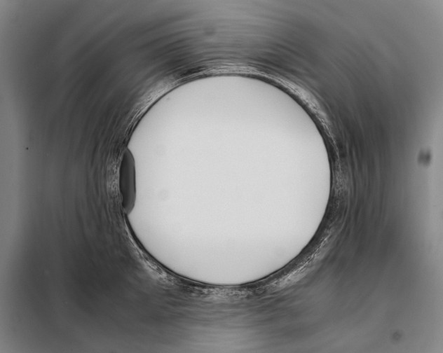 X0000097980905200804211035