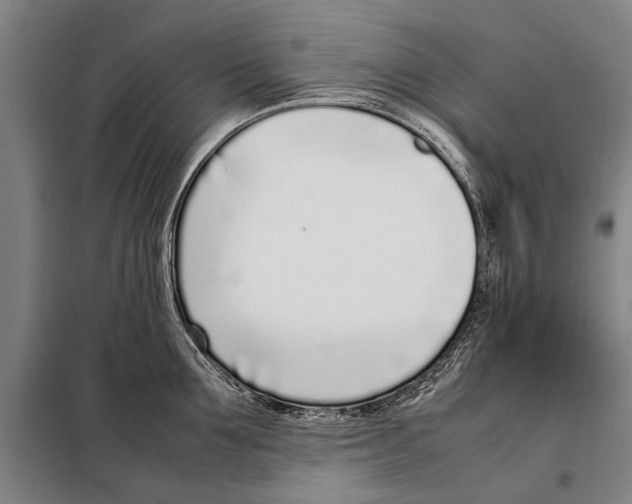 X0000097980907200804211035