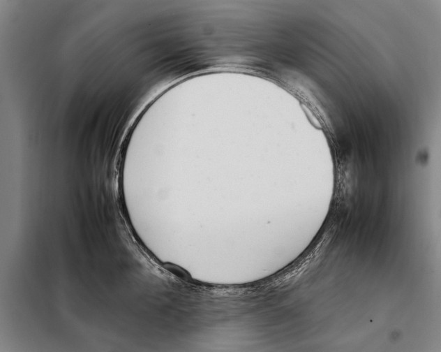 X0000097980908200804211035