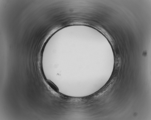 X0000097980909200804211035