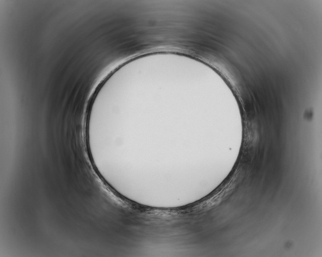 X0000097980910200804211035