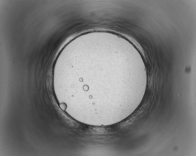 X0000097980911200804211034