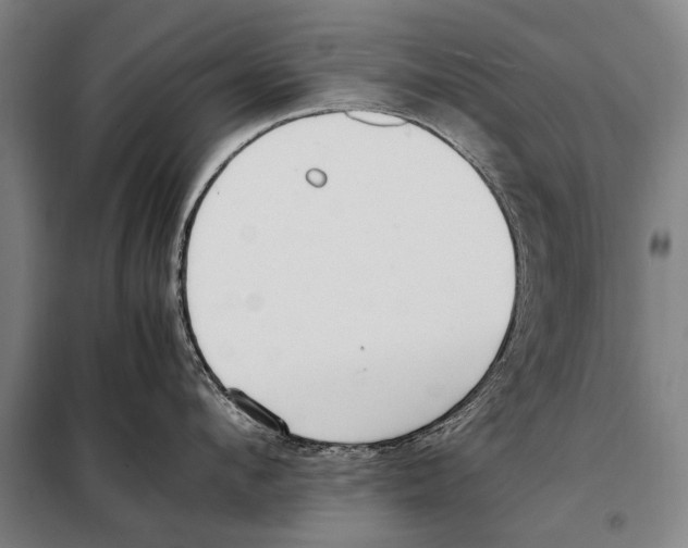 X0000097980912200804211034