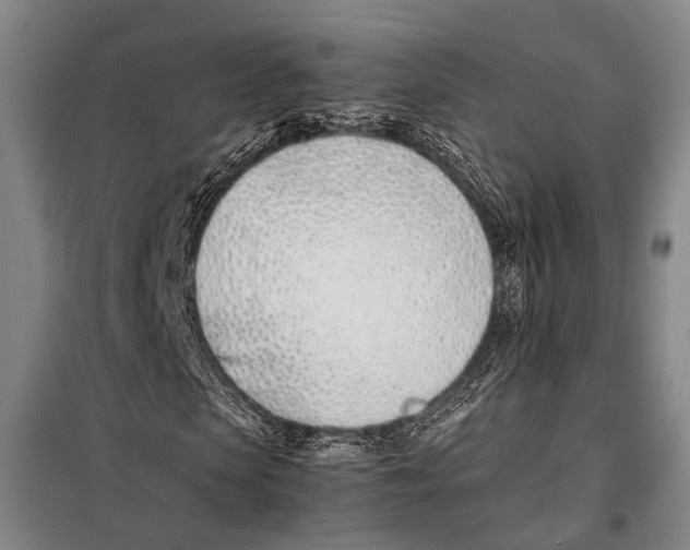 X0000097980913200804211034