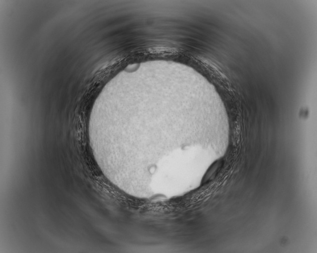 X0000097980917200804211034